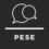 PESE Project – Framework for a Curriculum